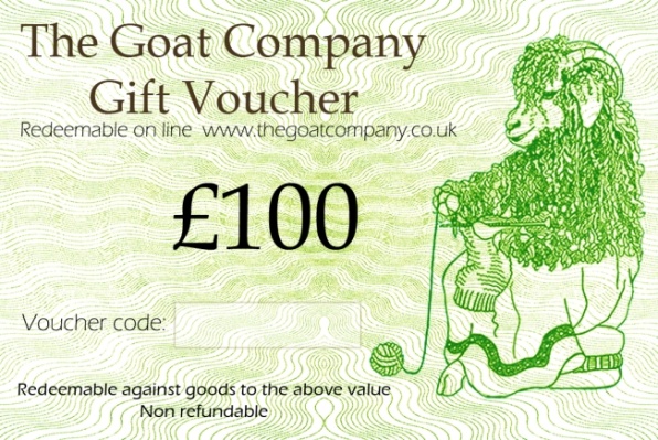 gift voucher 100